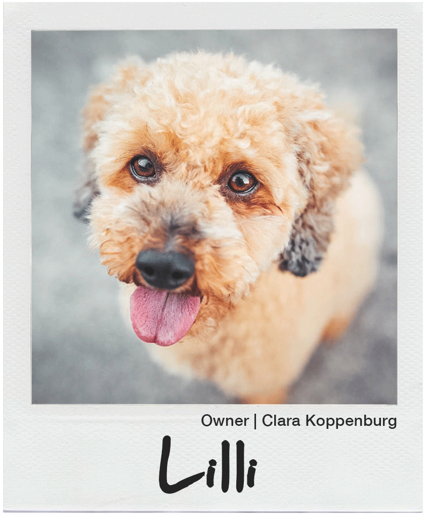 Human Powered Health Cycling tweet media