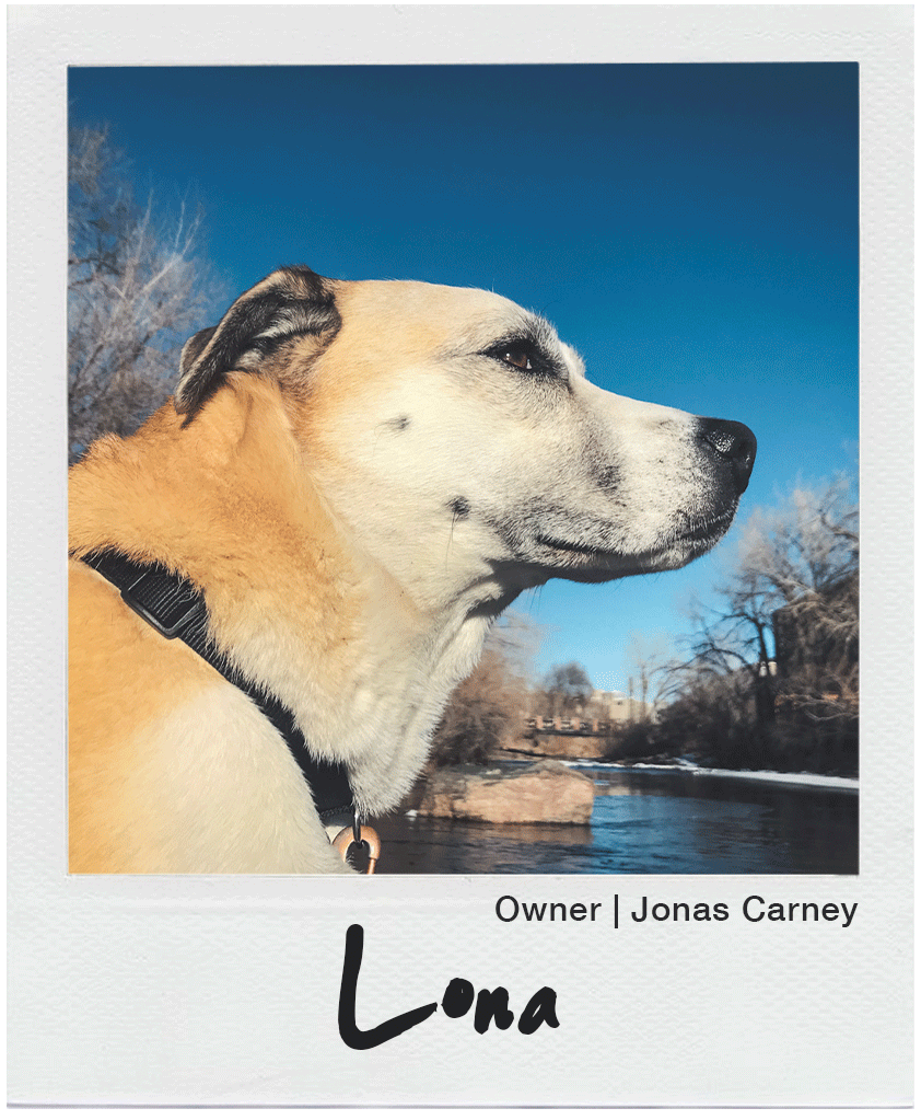 Human Powered Health Cycling tweet media