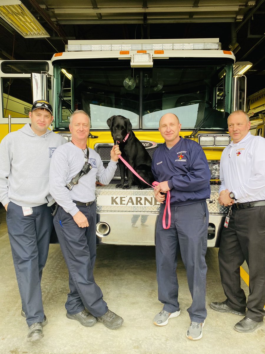 ClayCountyMO_EM's tweet photo. .@SheriffClayCo’s #K9Lola spent the morning learning a new dance 🐾 and making new friends 🚒 at Kearney Fire & Rescue Protection District. @KFRPD #PeerSupportDog https://t.co/9tb1aiM3yF