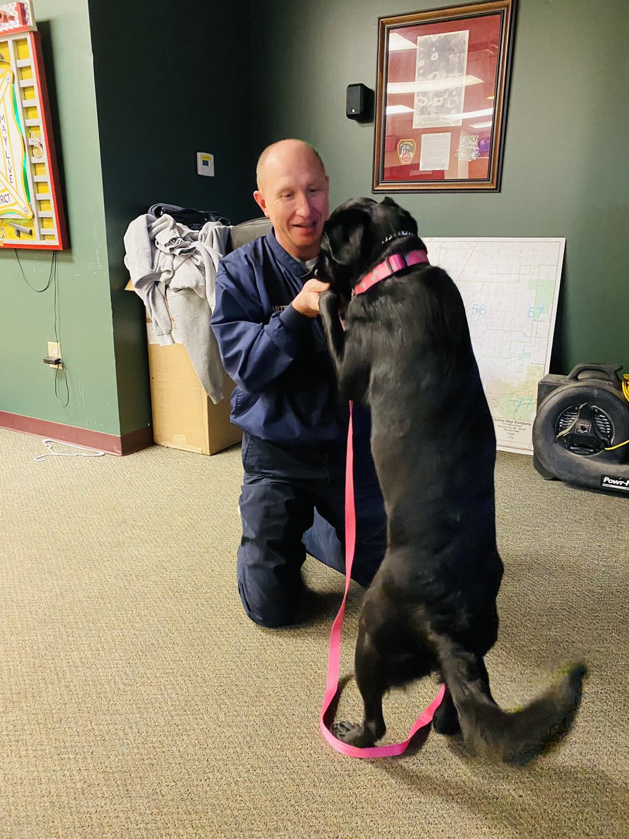 ClayCountyMO_EM's tweet photo. .@SheriffClayCo’s #K9Lola spent the morning learning a new dance 🐾 and making new friends 🚒 at Kearney Fire & Rescue Protection District. @KFRPD #PeerSupportDog https://t.co/9tb1aiM3yF