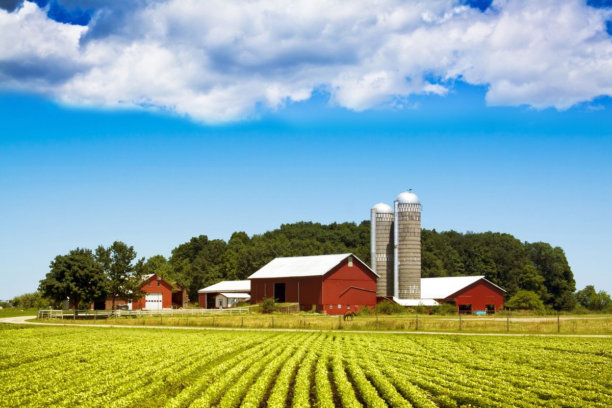 nutritionwsam's tweet photo. Happy #NationalAgricultureDay to all essential workers in the farming and agriculture industries. These workers are an instrumental part of providing communities with “farm-to-fork” food needed in our everyday lives. We are eternally grateful for your hard work and dedication! https://t.co/RTtYV8fRXU