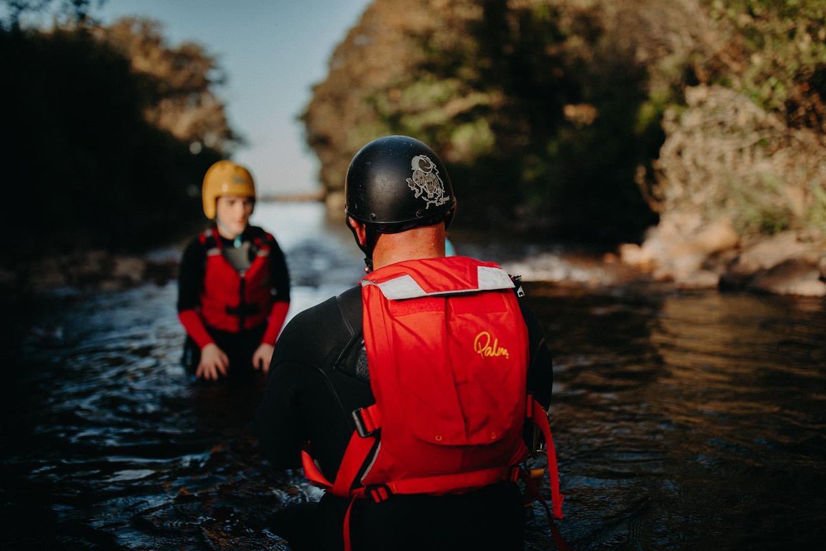 New Wave Adventure tweet media