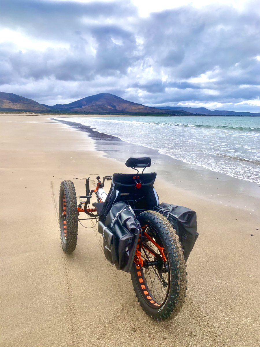 New Wave Adventure tweet media