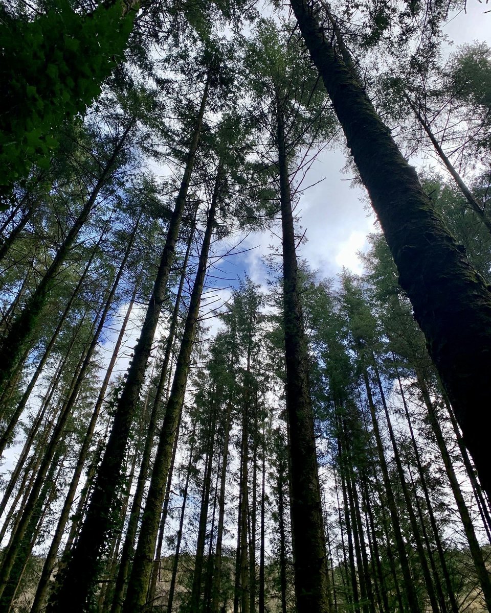 New Wave Adventure tweet media