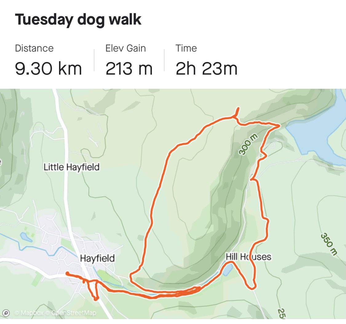 flynn_nancy's tweet image. Day 9 #2WeekChallenge another beautiful walk with the dog. Legs are feeling it today so might even do a little yoga stretch later once the kids are in bed! @joannerushton3 @himynameisjaneg @MeersGail @karenklmmoore @debbiemerrick5 @wellbeingmatron @rachrobertson01