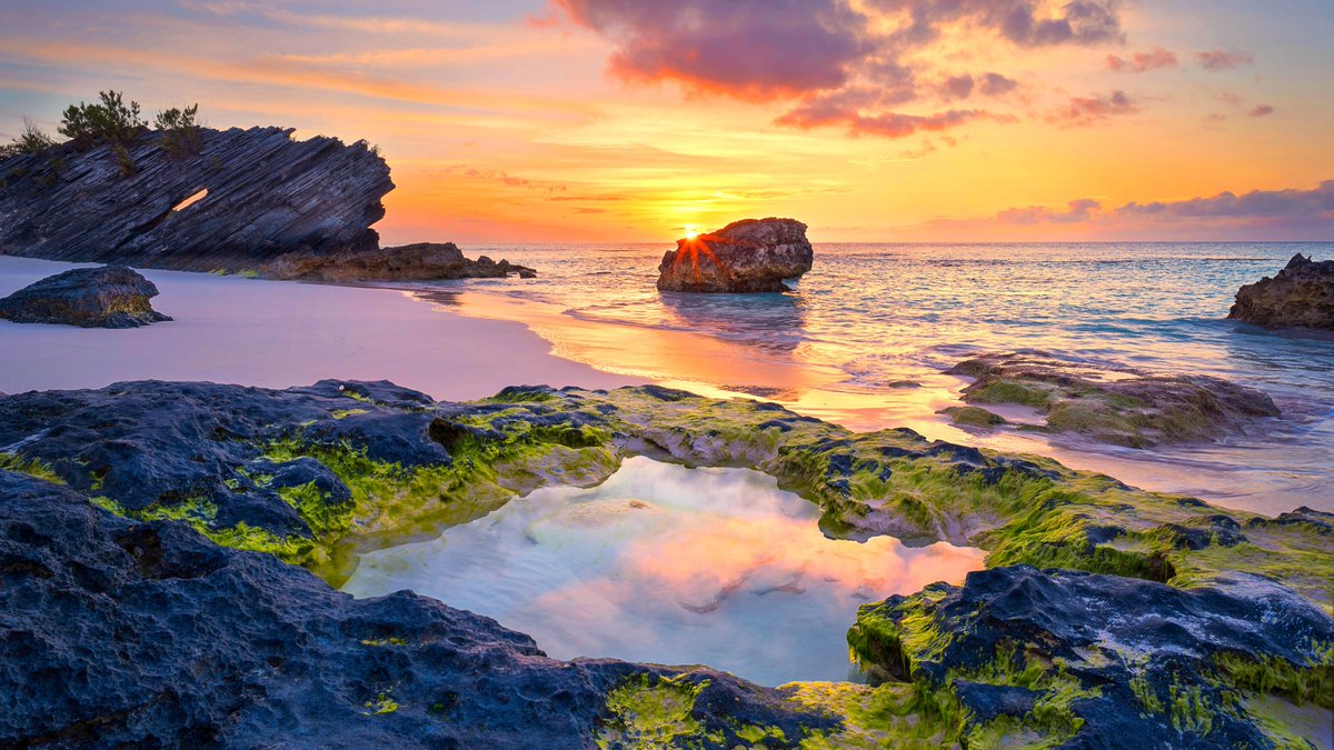 This June, we’re heading back to Bermuda. Just in time for summer, Vision of the Seas is welcoming guests on board for unforgettable island escapes, including an overnight in Bermuda and a stop at Perfect Day at CocoCay. Learn more at: bit.ly/394rpv2