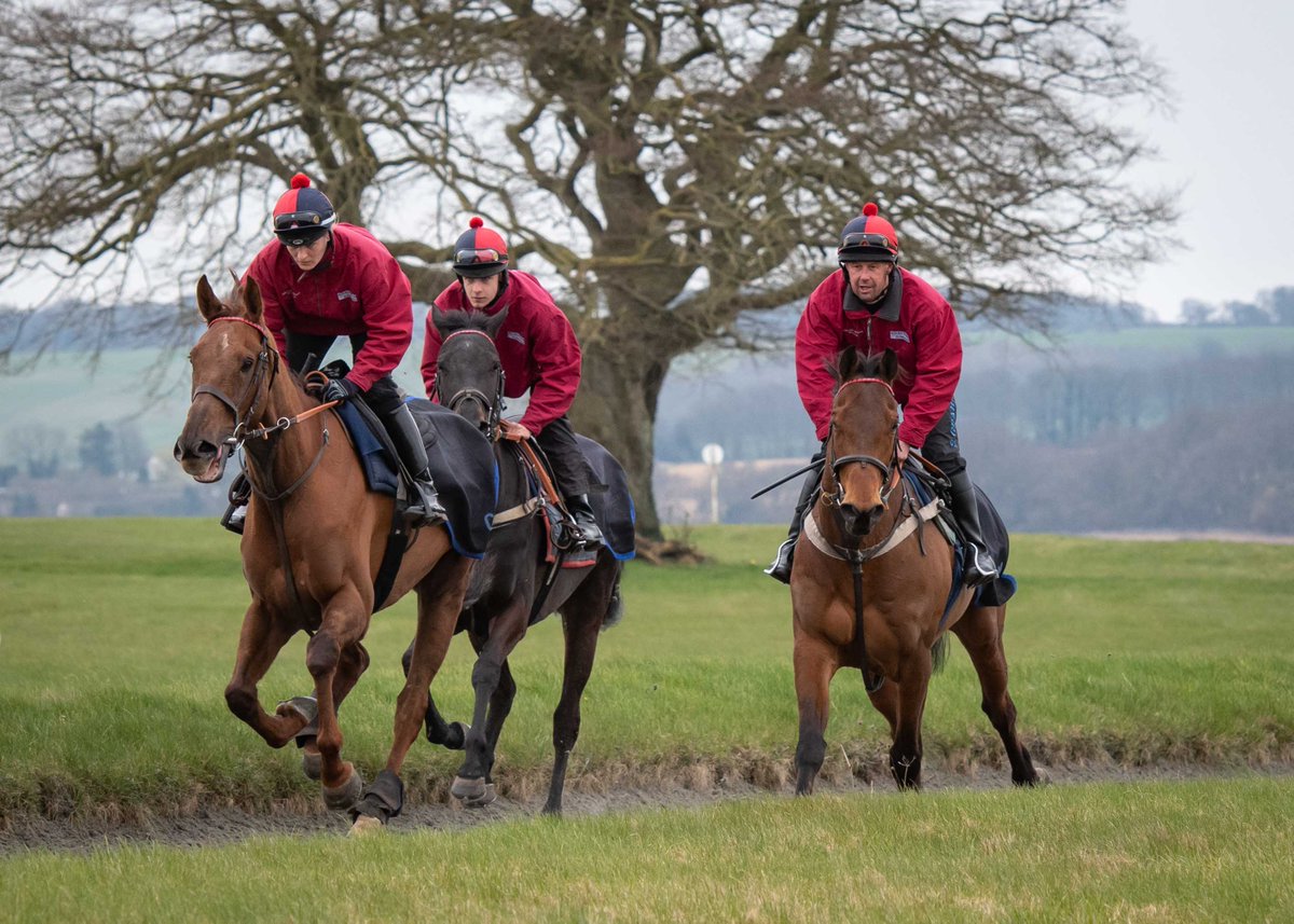nigekirby's tweet photo. Fabulous to spend the morning at @NeardownStables .  Thank you to Charlie, Kate and all the team. https://t.co/pHj0cwJniy