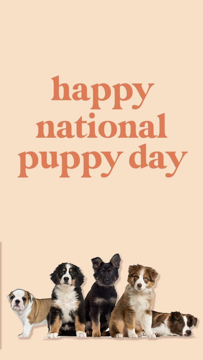 LNuvitacbd517's tweet photo. Happy National Puppy Day! #NationalPuppyDay #nuvitacbd #cbdoil #petcbd #dogcbd #catcbd #organic #cbdbenefits #WomenSupportingWomen #supportsmallbusiness https://t.co/H988JCKgsq