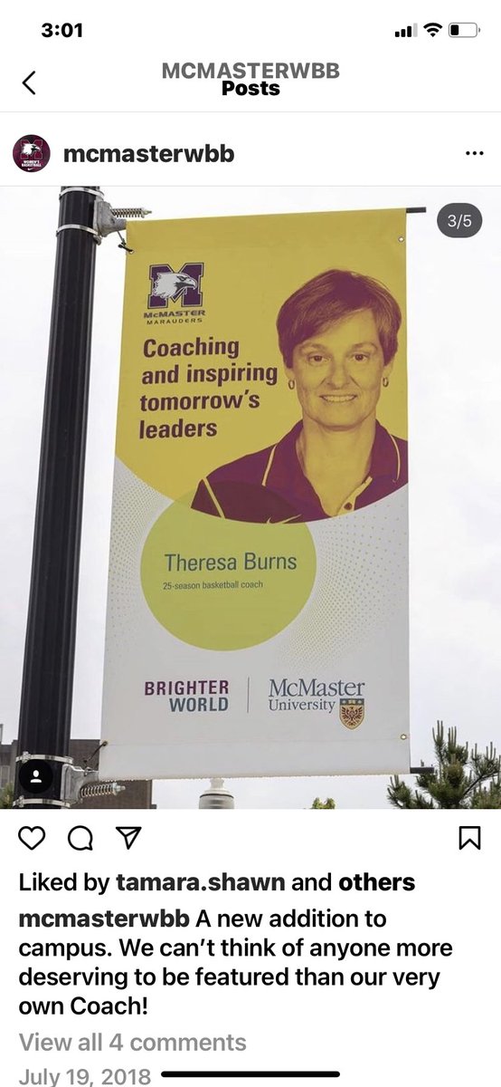 JennBurkitt's tweet photo. @WNBA Coach Theresa Burns a legendary Canadian- McMaster University Women’s Basketball Head Coach! https://t.co/PACEXBu2s9
