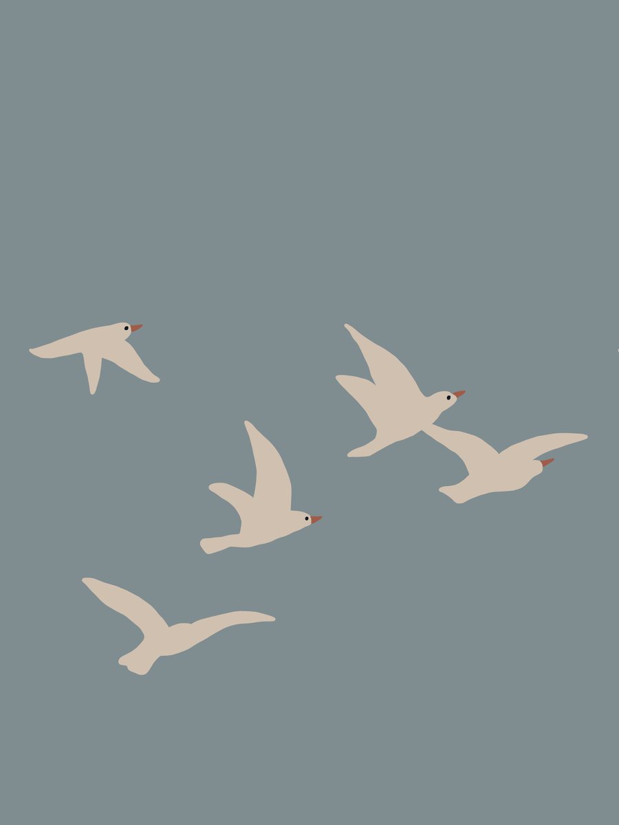 SamMarieSavage's tweet photo. Five birds spreading their wings, taking flight, and soaring through the sky. ✨ https://t.co/km9DuqQAb7