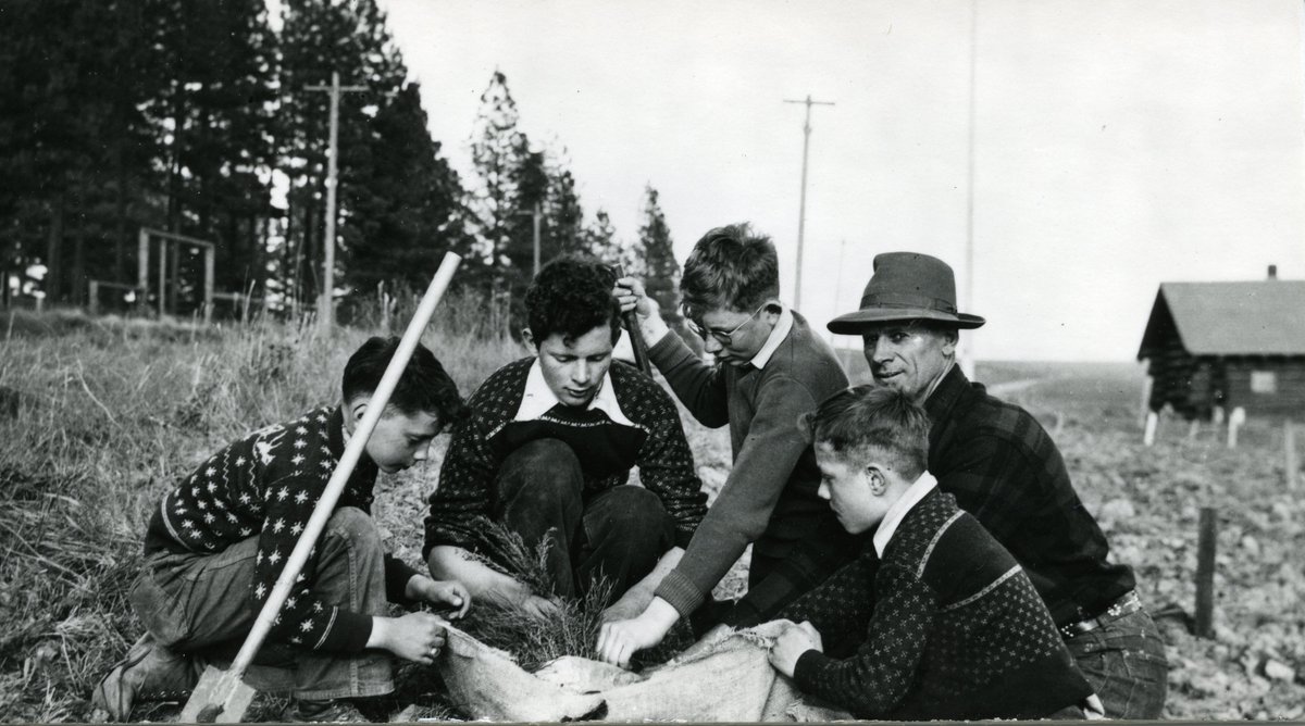 LatahCoHistory's tweet photo. 4-H Club members plant trees with supervision from leader August Mantz, in hat. 1948. 

LCHS Photograph: 25-13-029 

#LatahCounty #Idaho #4H #headhearthandshealth https://t.co/qmJBJYI1G3