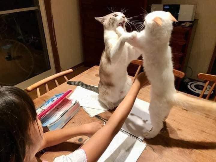 La secuencia perfecta no exis...