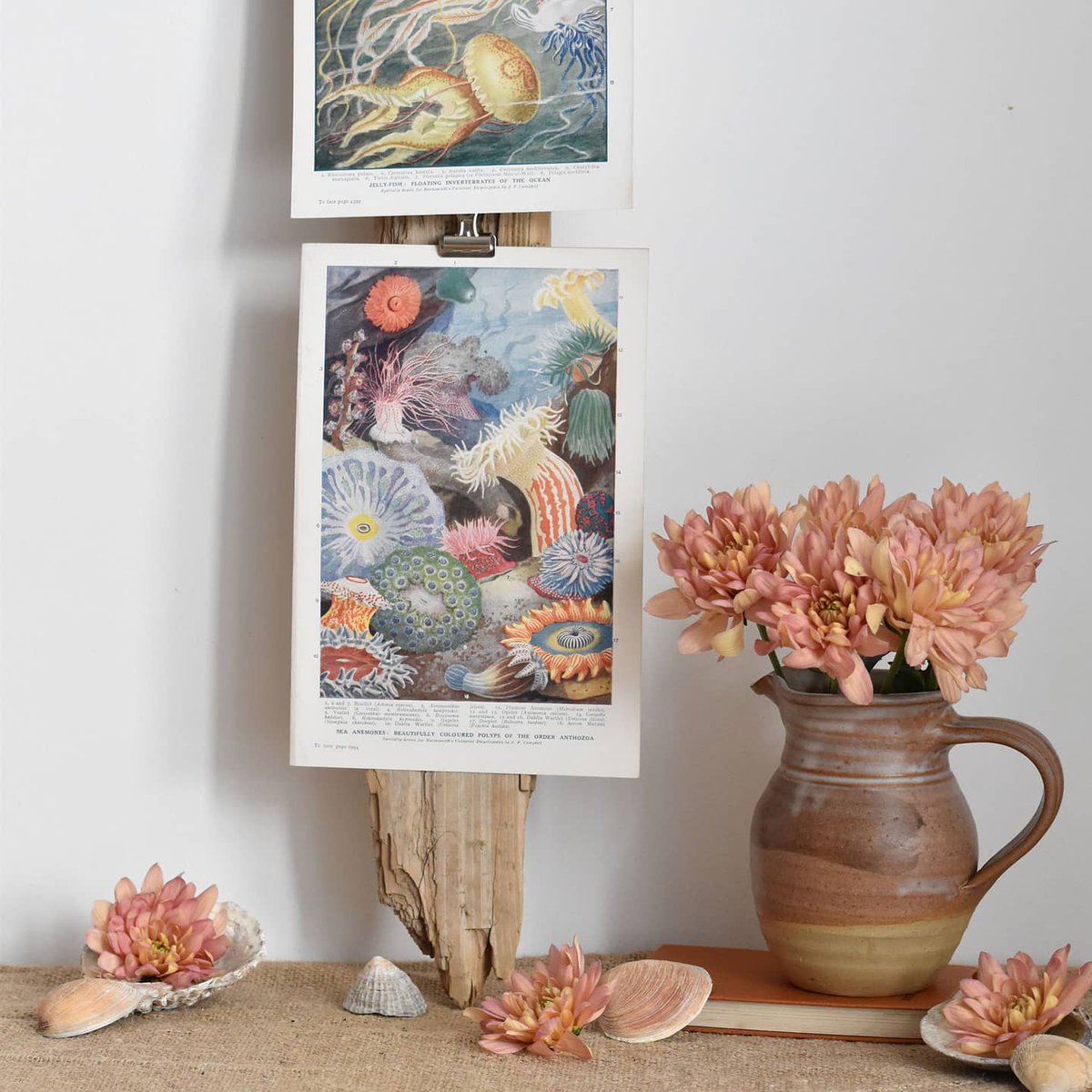 Today is #WorldMeteorologicalDay - this year's theme is the ocean, our climate &amp; weather. We've curated a collection of #antiqueprints based around this theme &amp; they will be available from our website tomorrow morning (link in bio) #virtualvintage #shopsmall #ocean #climate