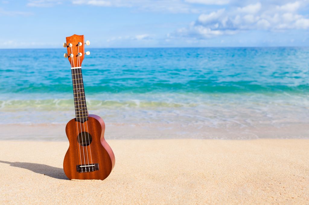 tpimaui's tweet photo. There are some great places in Lahaina to enjoy live music. Many of them are within walking distance of the Inn. We have great information about the local area in our Area Guide on the website.
https://t.co/5CgaNmnfvF https://t.co/EetNdiCVEP