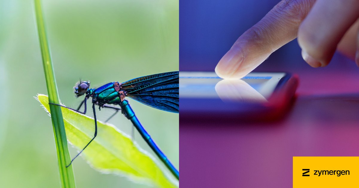 The future looks bright with #biofacturing. We’re taking inspiration from how nature designs to make the products of the future. 

bit.ly/3tLRFSR