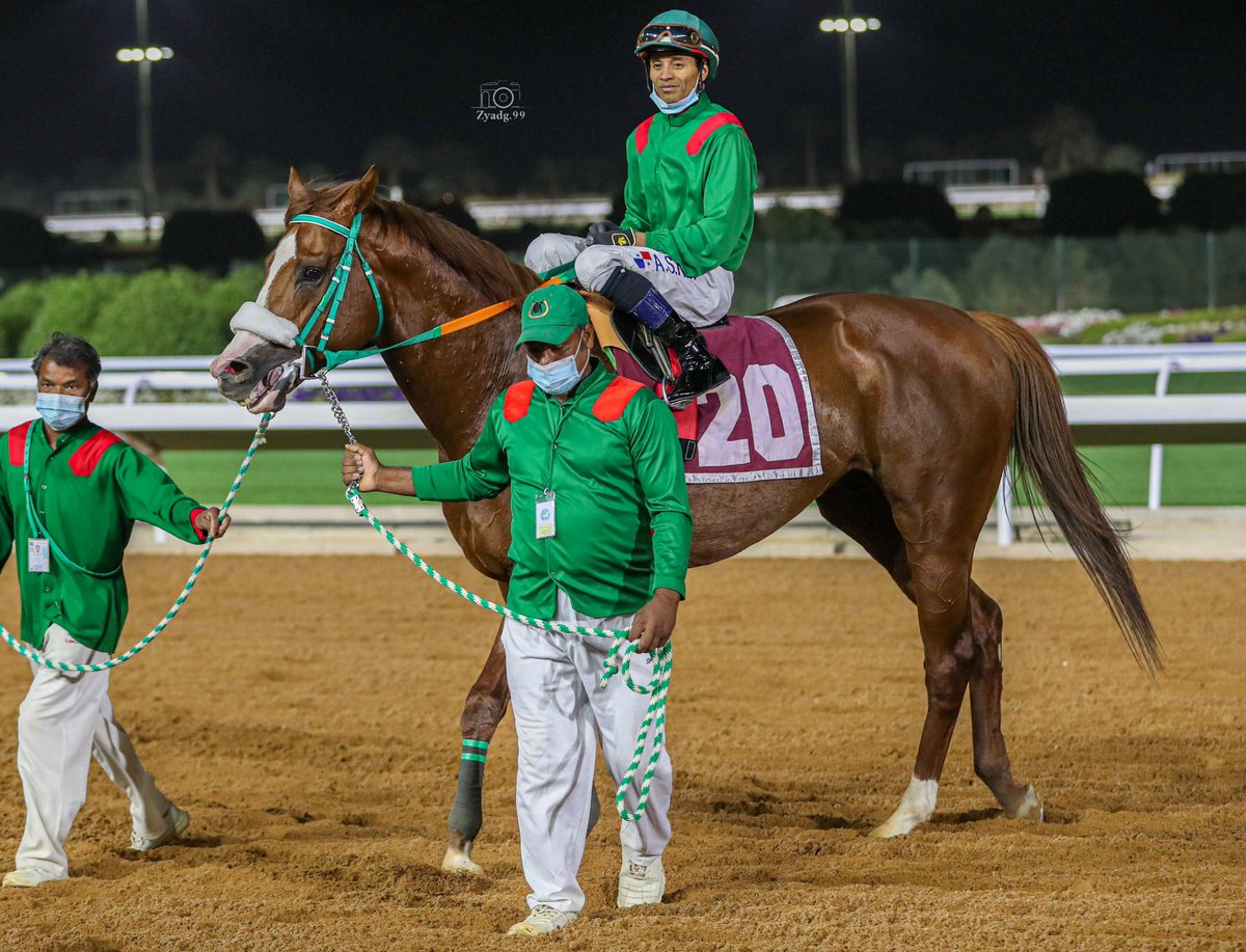 " مايبول " لأبناء فيحان بن فيصل المنديل
تدريبات المدرب " سلمان المنديل " وقيادة الخيال " لويس موراليس "

<a href="/sultan22102/">sultan</a>

#نادي_سباقات_الخيل
