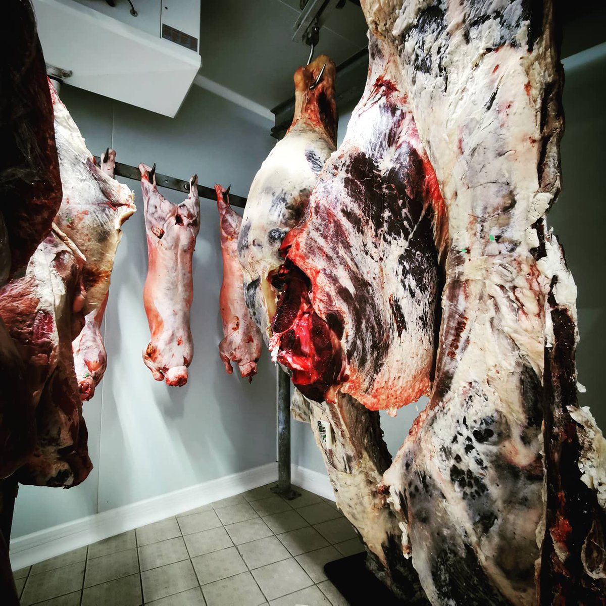 romain_leboeuf's tweet photo. Un #bon début de #semaine 👌
J'aime mon #métier 😍
#RomainLBF #Partage #Plaisir #Passion #Transmission #SavoirFaire #BienManger #MangerSain #MangerFrancais #ViandeDeFrance #MadeInFrance #France #Paris #Paris15 #HappyButcher #Butcher #ButcherLife #Artisan #ArtisanBoucher #Boucher https://t.co/ttQBoWkv8o