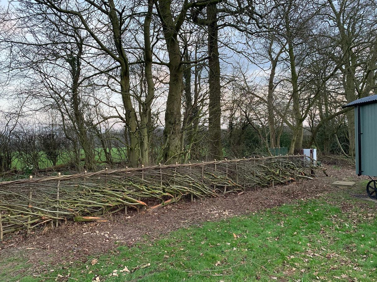 N_ShepherdsHuts's tweet photo. Check out our smart new hedges! 

We’re working hard on the outside area ready for reopening on the 12th April ! 

We can’t wait to have you back. 

#staycation2021 #ukstaycation2021 #travelblogger #traveladdict #staycation #shepherdshuts #shepherdshutretreat #shepherdshutsuk https://t.co/ueKuPSsiN1