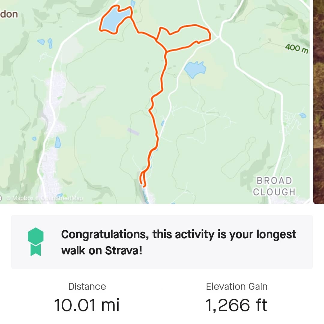 bimbers46's tweet image. Just what I needed today 😘 10 mile walk. #trailwalk #rossendale #perfect #justmemyselfandi