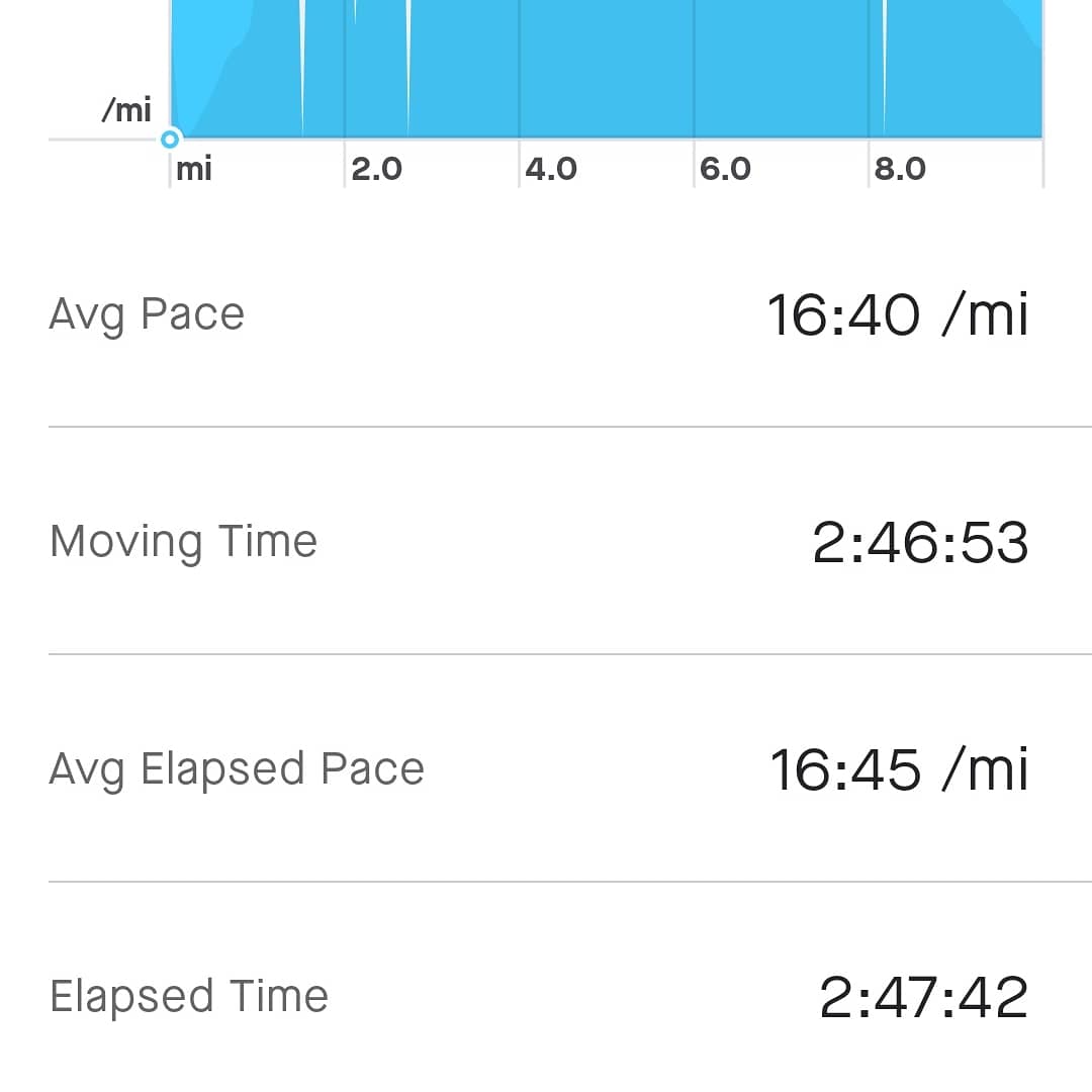 bimbers46's tweet image. Just what I needed today 😘 10 mile walk. #trailwalk #rossendale #perfect #justmemyselfandi