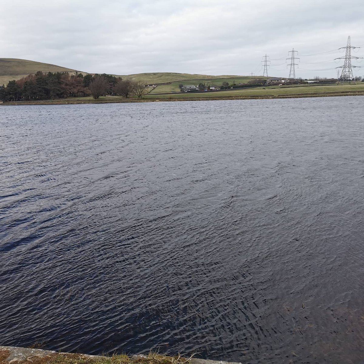 bimbers46's tweet image. Just what I needed today 😘 10 mile walk. #trailwalk #rossendale #perfect #justmemyselfandi