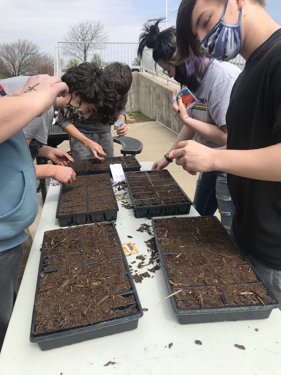 hcpsky's tweet photo. In our SELF work @ CEO, we are focusing on understanding & coping w/ anxiety. We created a screen-free activity of gardening to relieve student stress. The students will tend to the seedlings, transplant them & then manage the garden area. Thanks Mrs. Davie for the seeds & trays! https://t.co/OWzjSbyjJM