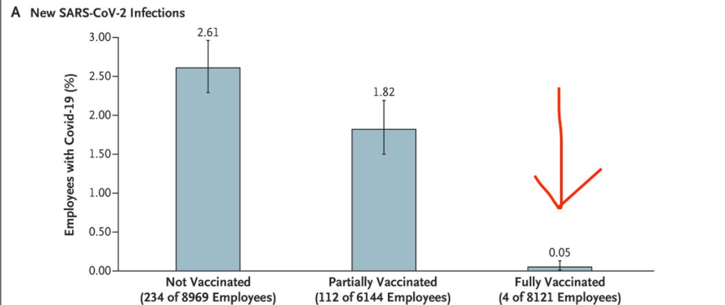 Isaac Bogoch tweet media