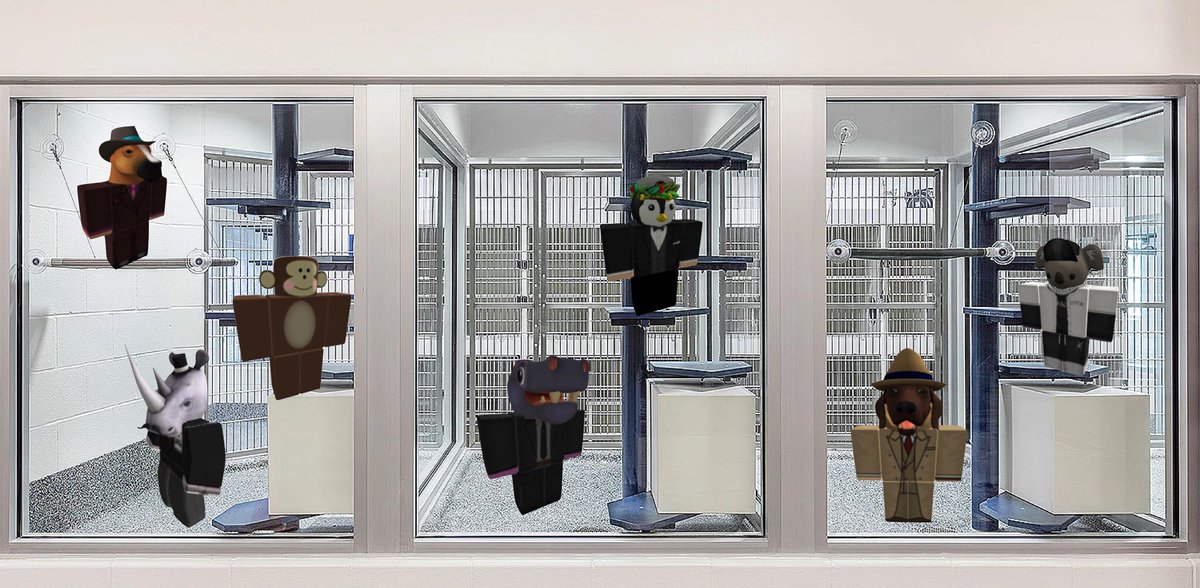 rblx1111's tweet photo. NUSA Animal Patrol activity goes up. https://t.co/eAokFsOjWI