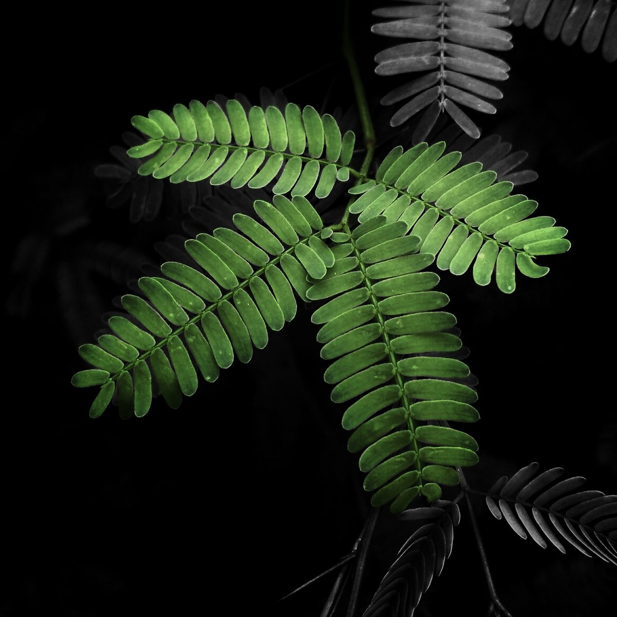 pixediting's tweet photo. #NewProfilePic https://t.co/QV5WoXQ17X