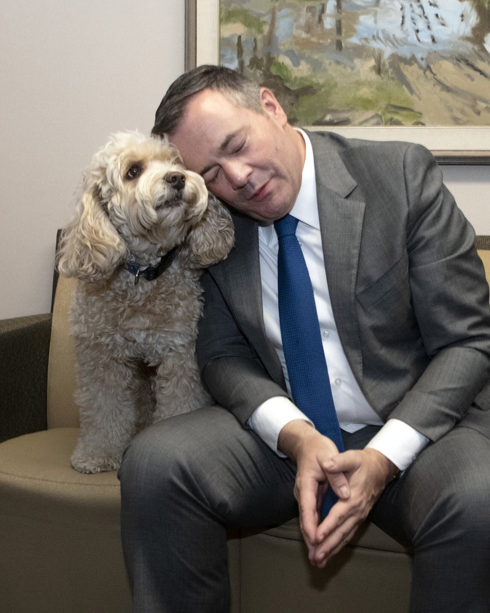 jkenney's tweet photo. Happy #NationalPuppyDay to all the dog lovers out there! 🐶 https://t.co/rQVlo83gY6
