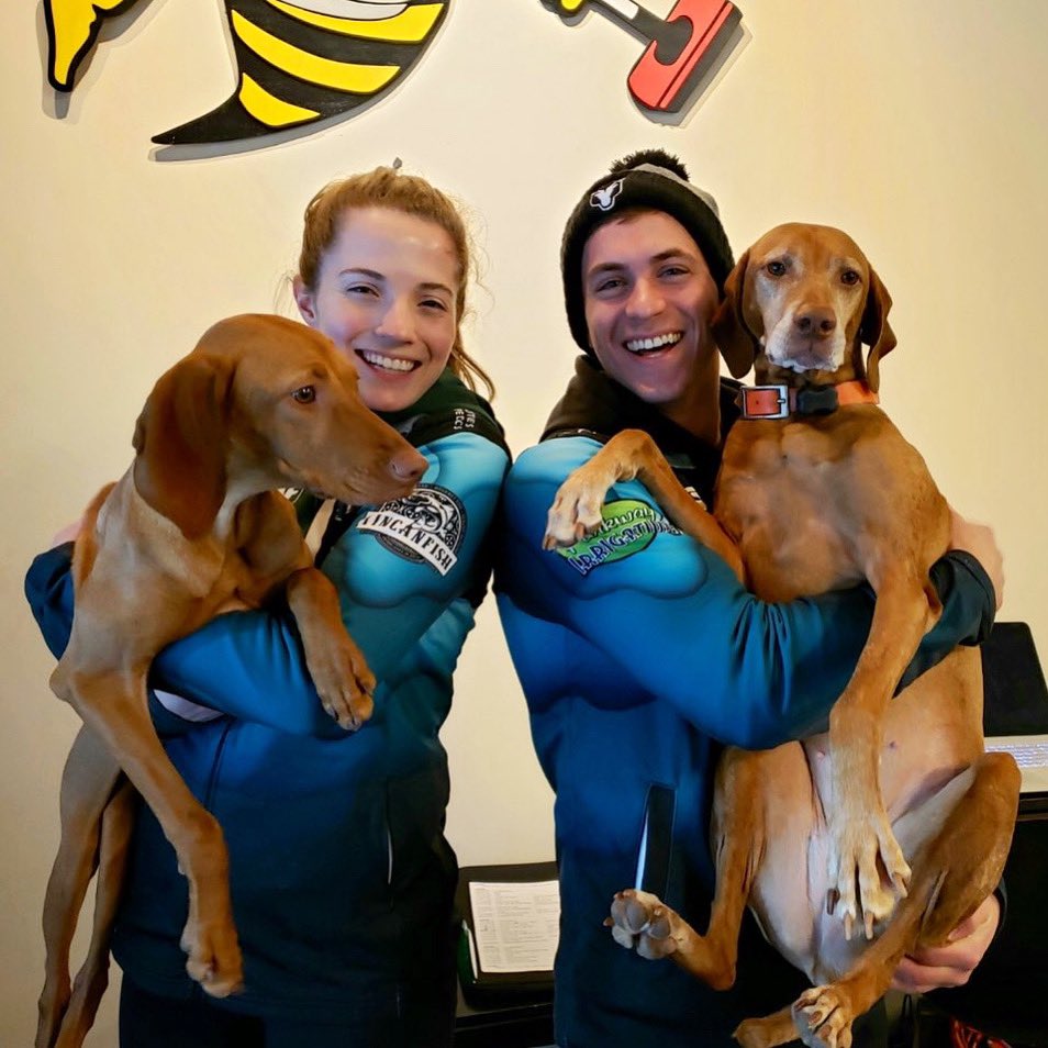 AndersonDropkin's tweet photo. @youngbucksUSA Not ours, but damn they are cute!
#puppylove https://t.co/BwFVtD0FoD