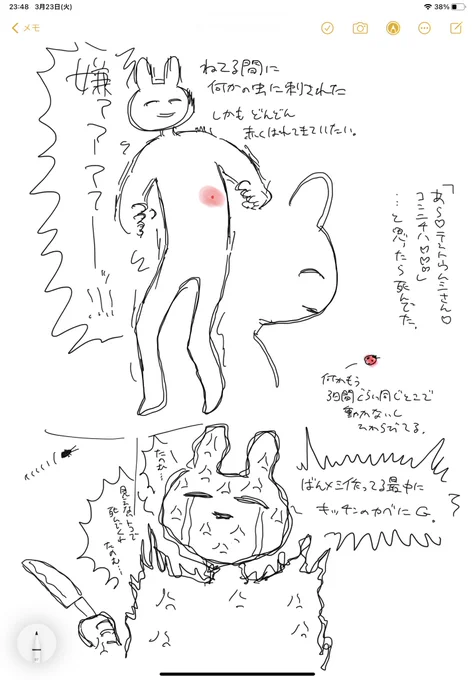 最近あった虫関係の嫌な事 