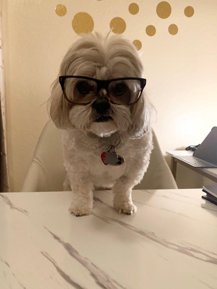 <a href="/WVTM13/">WVTM 13</a> What time is the zoom call?