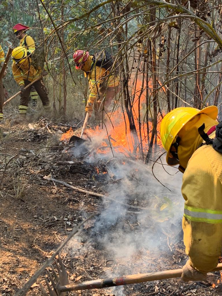 BrigadistasOn's tweet image. Brigadistas continúan trabajando en el combate de los #IncendiosForestales que afectan a la Reserva Nacional Lago Peñuelas con una superficie de 155 hectáreas... 
El combate terrestre se enfoca en realizar líneas de #cortafuego para evitar el avance y la propagación del incendio.