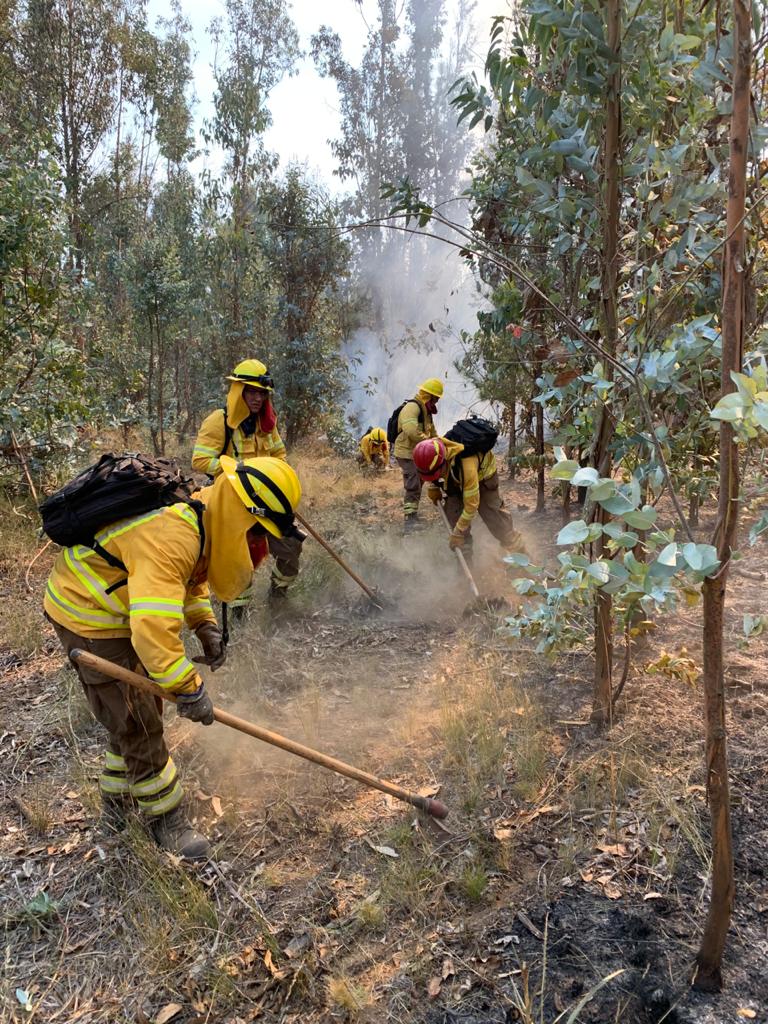 BrigadistasOn's tweet image. Brigadistas continúan trabajando en el combate de los #IncendiosForestales que afectan a la Reserva Nacional Lago Peñuelas con una superficie de 155 hectáreas... 
El combate terrestre se enfoca en realizar líneas de #cortafuego para evitar el avance y la propagación del incendio.