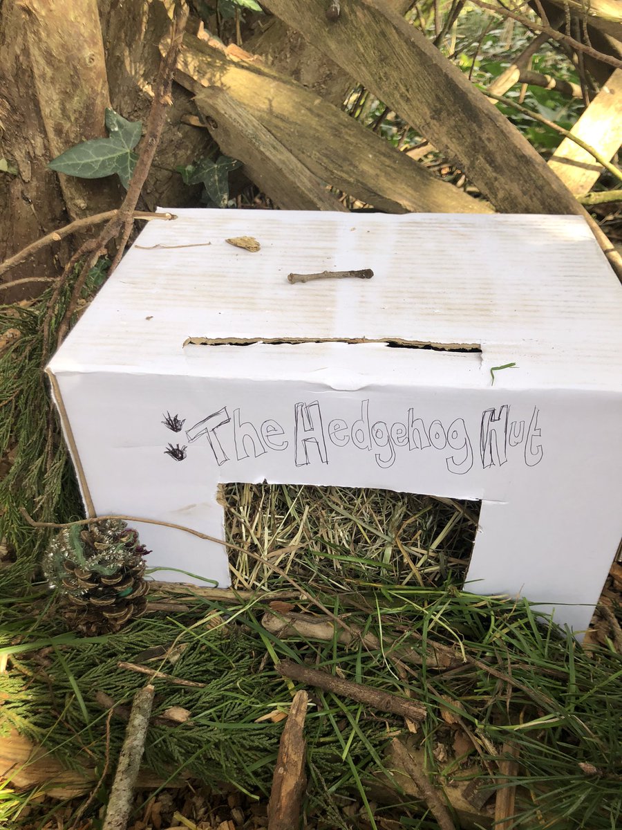 BegbrookAcademy's tweet photo. This week Year 2 are geographers, learning about ways we can combat habitat destruction... 💪🏻 Today we created hedgehog houses !! We can’t wait to check back and see if they’ve been visited! #rubypower #habitats #wearegeographers https://t.co/vLuqLQax4p