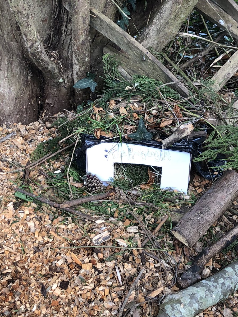 BegbrookAcademy's tweet photo. This week Year 2 are geographers, learning about ways we can combat habitat destruction... 💪🏻 Today we created hedgehog houses !! We can’t wait to check back and see if they’ve been visited! #rubypower #habitats #wearegeographers https://t.co/vLuqLQax4p