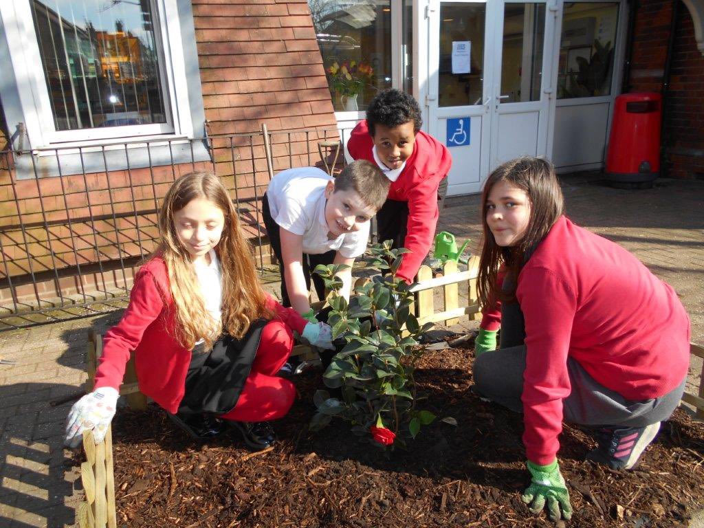 EActonPrimary's tweet photo. Planting at @EActonPrimary today to mark the National #DayOfReflection https://t.co/Uv3MLzglT2