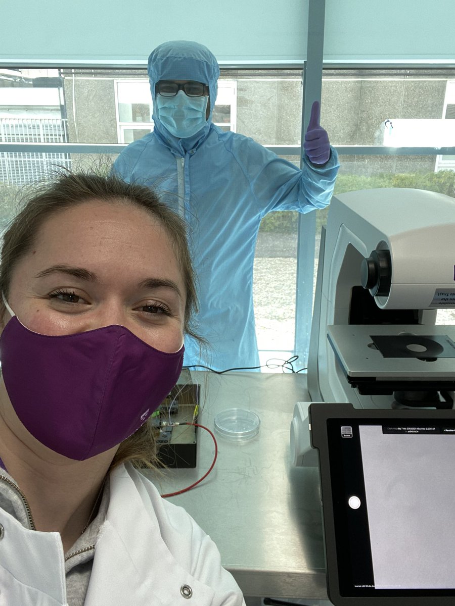 Scientific experiments in 2021! <a href="/SagnikSM/">Sagnik Middya</a> the engineer, running experiments through a glass window in the cleanroom 😂 #bioelectronics #PhD <a href="/BioelectronicsL/">BioelectronicsLab</a>