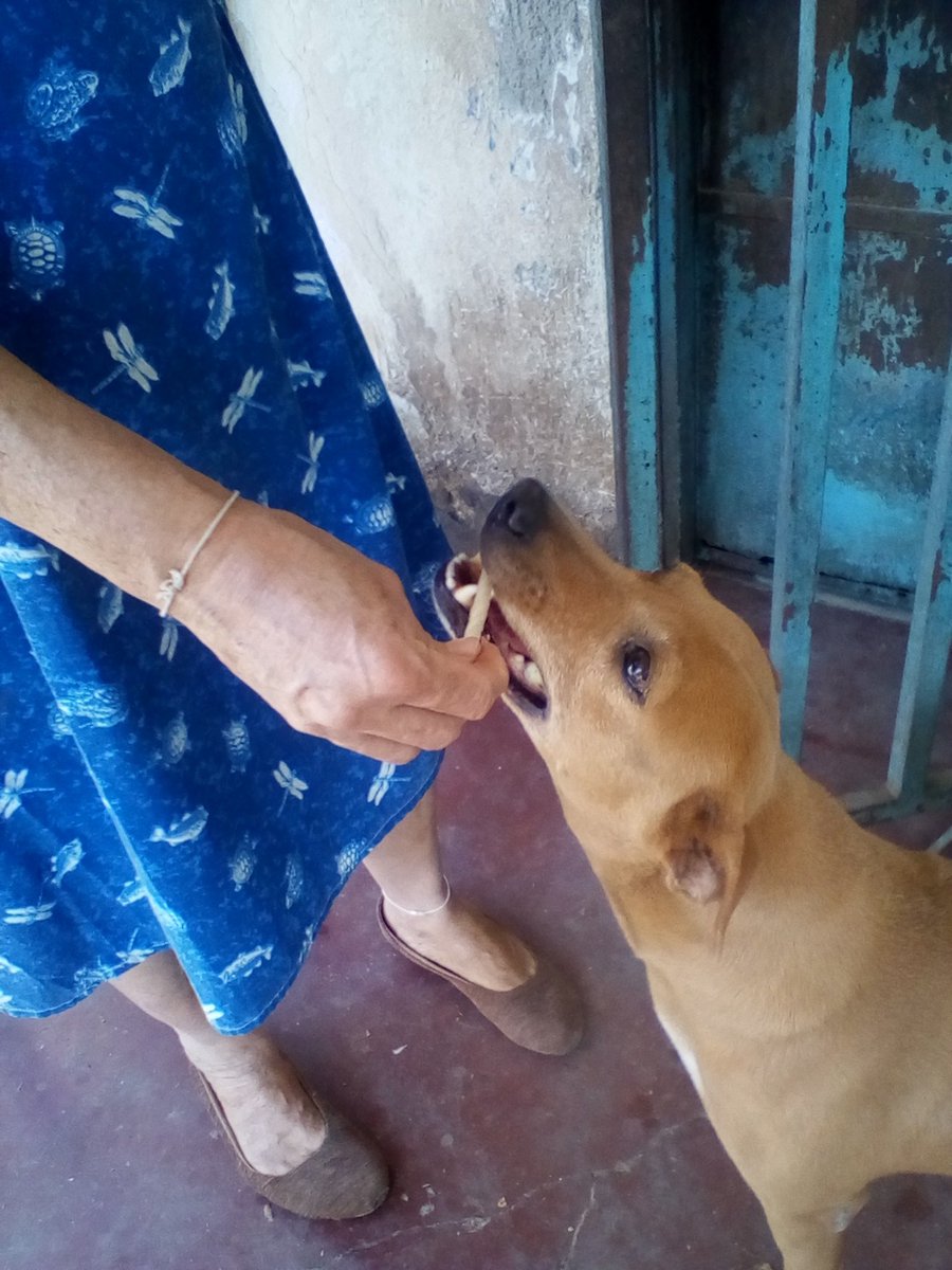 Alberguenieves's tweet image. ELLA ES CHIQUI Y SOLICITA AYUDA PARA @Alberguenieves NECESITAMOS 150 DOLARES AL MES SOLO PARA ALIMENTO ESTAMOS EN VENEZUELA POR FAVOR ESCRIBANME POR PRIVADO GRACIAS Y QUE DIOS LOS BENDIGA