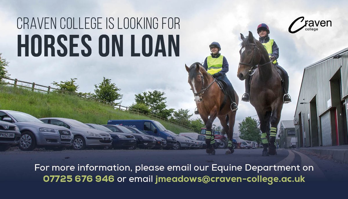 cravencollege's tweet photo. Horses will be looked after by Craven College Staff Members who are all experienced and BHS qualified.

We are willing to take on horses to further their education under saddle as long as they are safe to handle on the ground.

See thread below. https://t.co/5gp5D16Prf