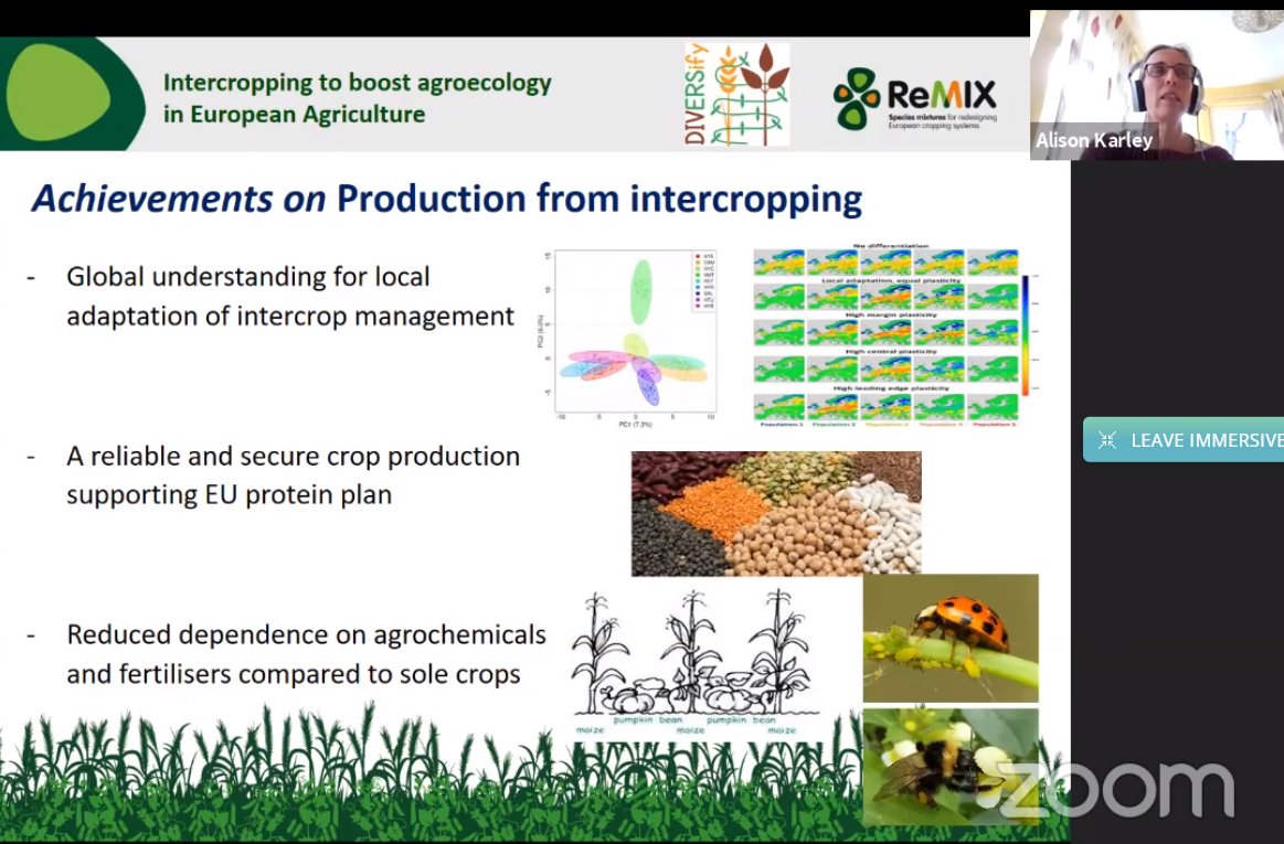 Remix Intercrops (@remixintercrops) on Twitter photo Conclusions brought by <a href="/AlisonKarley/">Alison Karley</a> and @EricJustes. Achievements by @planteams and <a href="/RemixIntercrops/">Remix Intercrops</a> projects after 4 years of research with a #multiactor approach. #intercropping #cropdiversification Conclusions brought by <a href="/AlisonKarley/">Alison Karley</a> and @EricJustes. Achievements by @planteams and <a href="/RemixIntercrops/">Remix Intercrops</a> projects after 4 years of research with a #multiactor approach. #intercropping #cropdiversification