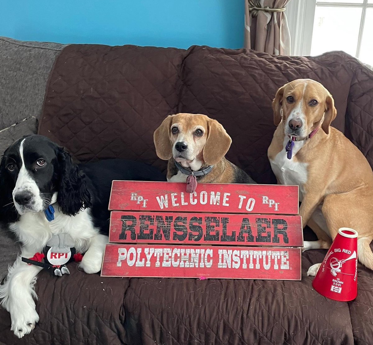 RPIAlumni's tweet photo. Who knew #NationalPuppyDay was during the #RPiChallenge?! Check out these photos from our most recent #RPISpiritDay featuring dogs with Rensselaer pride!
Show your RPI pride through the RPi Challenge: https://t.co/s7NZZle235 https://t.co/EE9iMsLCyE