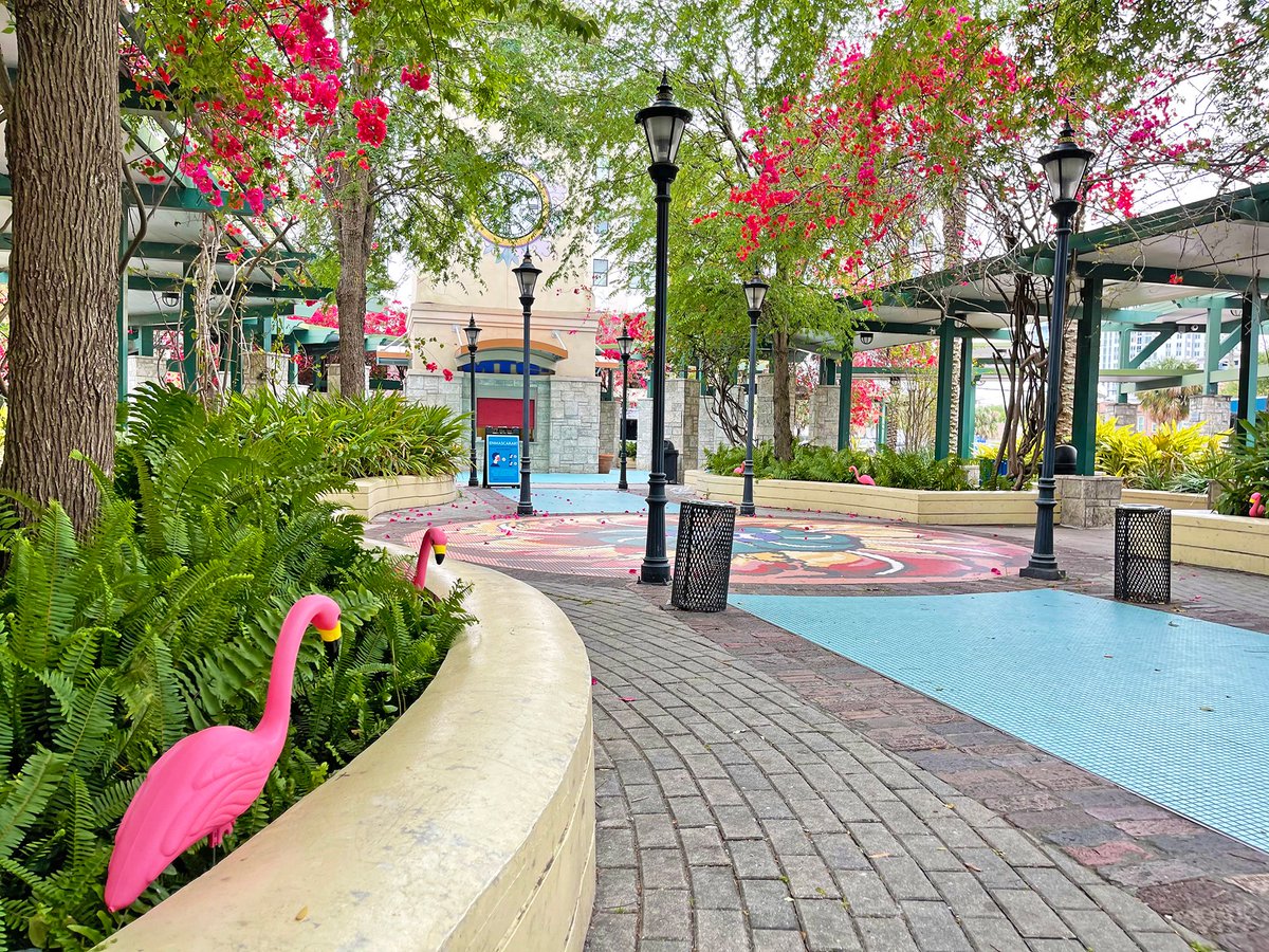 GoHART's tweet photo. The 𦩠Flock has migrated to our Marion Transit Center!
#FlockWeek #JoinTheFlock #FlamingoFares https://t.co/91JI12nzZi