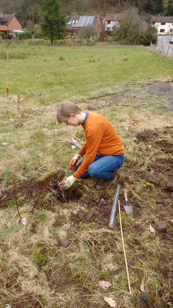 Middle Marches CLT tweet media
