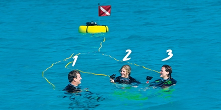 deeperblue's tweet photo. Always dive with a buddy... or two... or three! The Sea LiOn™️ makes it possible.
Free Shipping Within USA
Learn more now > https://t.co/7rMfqtLO4s
#TanklessDiving #ThirdLung #DivingLovers #DivingMadeEasy #BrownieDive #SeaLiOn #Ocean #FreeDiving #UndewaterWorld #ad https://t.co/wuzZrX3dQj