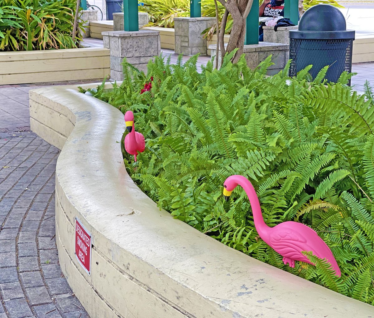GoHART's tweet photo. The 𦩠Flock has migrated to our Marion Transit Center!
#FlockWeek #JoinTheFlock #FlamingoFares https://t.co/91JI12nzZi