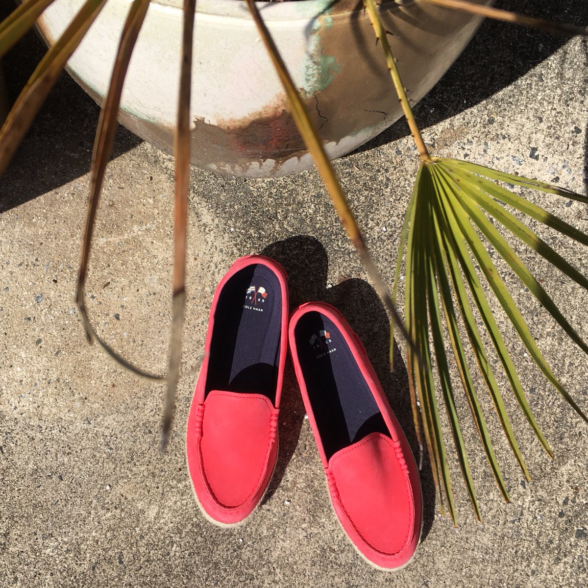 indigoavenue's tweet photo. Missing traveling somewhere tropical for spring break? Buy these cute warm weather shoes and stand under the nearest palm tree!!

Shoes: Cole Hann, Size 10, $34.50, #30522

#shoplocal #shopconsignment #shoprva #rva https://t.co/UAC7jBSnIA