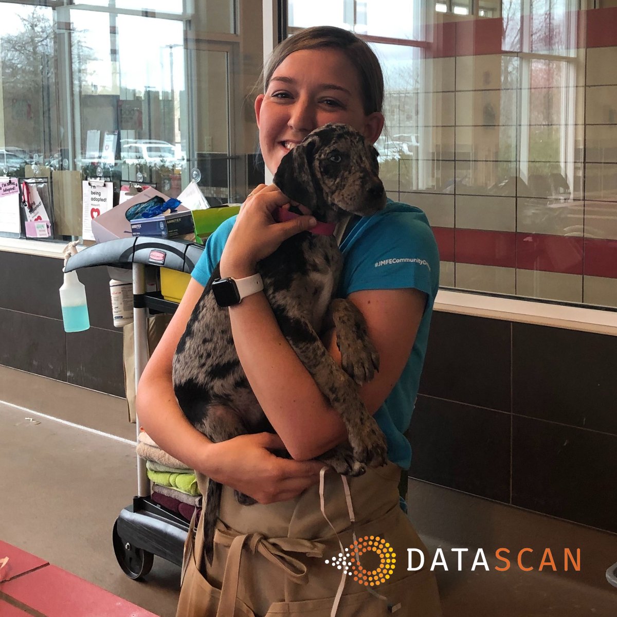 OneDataScan's tweet photo. In celebration of National Puppy Day, here's a throwback to our Associates volunteering at our local Humane Society. We can't wait to get back out into the community!
#NationalPuppyDay #Volunteering #GivingBack #OneDatascan https://t.co/r2IBBPAKc0