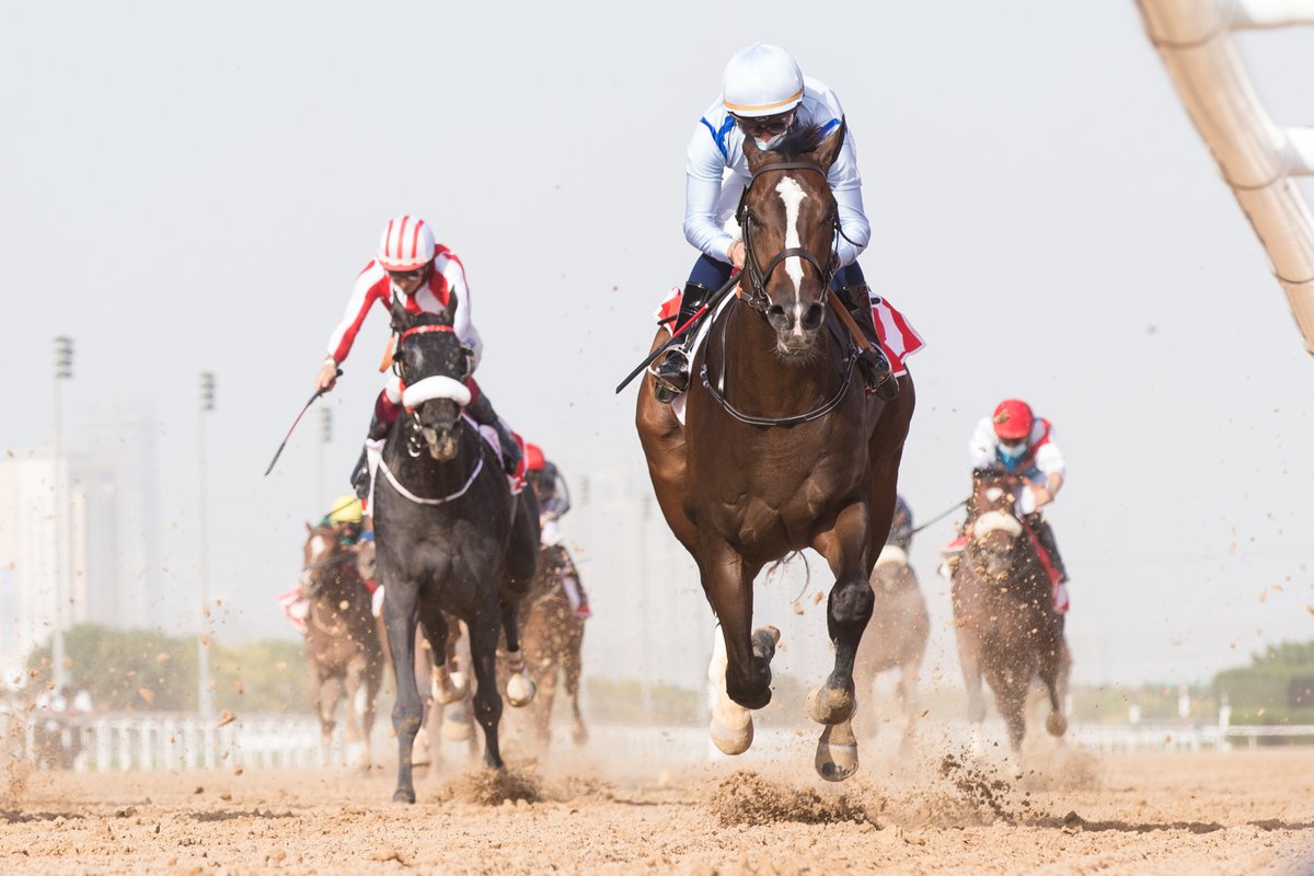 SecretariatsWld's tweet photo. Owner of #TitleReady &amp; #Speight'spercomete aka “Bob” - Charles Fipke talks about his aspirations to be third time lucky in the Gr.1 DWC21 and provides an insight about where his passion for horses comes from

Click To Read – https://t.co/KBdik2d5fB

@PerfectSoulIRE #DWCSouvenir21 https://t.co/ufJtO9wwOR